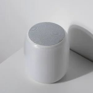 Base booster speaker